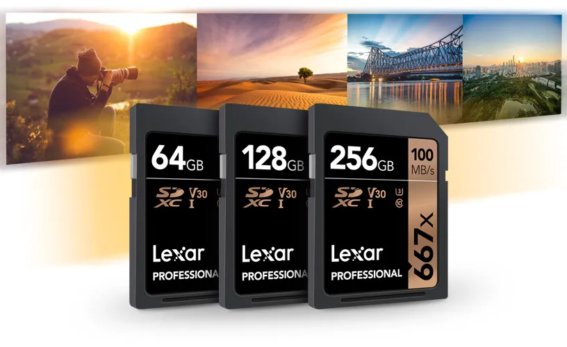 Karta pamięci Lexar Professional SDXC 256GB 667X UHS-I (100 MB/s)